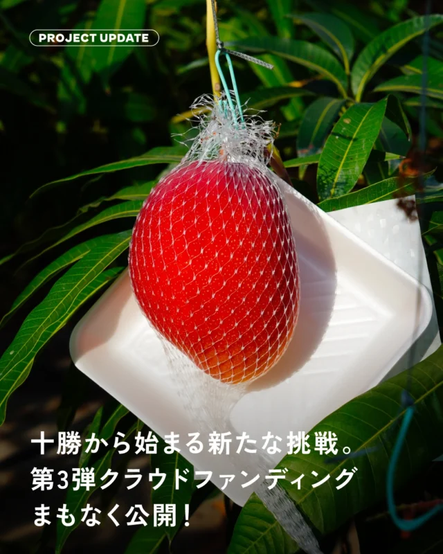 ＼ NWF 第3弾クラファン進行中 ／

NIPPON WONDER FACTORYでは、近日公開に向けて
「地域の物語を未来へつなぐ」クラウドファンディング第3弾を準備しています。

今回伴走するのは、北海道十勝で冬に実る国産マンゴー
「白銀の太陽」を育てている、ノラワークスジャパンの中川裕之さん。

温泉熱や雪氷冷熱、太陽光など、十勝にある自然エネルギーを活かしながら、
石油に頼らないマンゴーづくりに取り組んでいます。

今回のプロジェクトでは、
冬にも働ける環境をつくり、
地域に根付く産業として未来へつなげていくための
生産基盤づくりに挑戦します。

次の投稿では、この挑戦に込めた想いをご紹介します。
どうぞお楽しみに！

#NIPPONWONDERFACTORY
#北海道十勝
#白銀の太陽
#冬マンゴー
#自然エネルギー農業