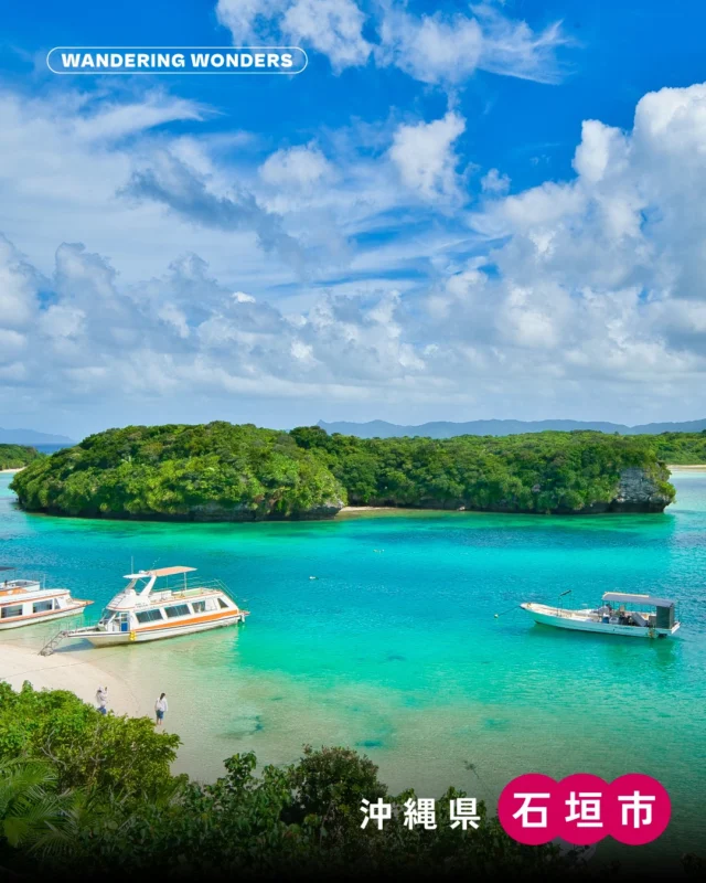 Wandering Wonders👀
「沖縄県・石垣市」

NWFメンバーが各地で見つけた「ワンダー」を、
少しずつお届けしていきます！

今回は、石垣島に暮らし、
NWFメンバーとしても活動しながら、
カメラマンとして島の風景を撮り続けている
@jackfukushima さんから、
石垣市でのお気に入りの景色を共有してもらいました📷

1枚目｜川平湾
📍沖縄県石垣市川平
石垣島を代表する名所。
透明度が高く、時間帯によっても表情を変える美しい海です。
湾の裏手にある公園茶屋では、
ミネラルたっぷりの石垣の塩を使用した、
八重山そばや沖縄ぜんざいを楽しめます。

2枚目｜名蔵湾 一本ヒルギ
📍沖縄県石垣市名蔵
干潟にぽつんと立つ一本のヒルギ。
実は「マングローブ」という木があるわけではなく、
ヒルギ類などが集まった環境全体をそう呼ぶのだそう。
ヤエヤマヒルギは、
塩分の多い場所で生きるために、
葉に塩分を溜め込み、落葉とともに体の外へ排出する
ちょっと不思議な仕組みを持っています🌿

3枚目｜平久保灯台
📍沖縄県石垣市平久保
島の最北端にある灯台。
「恋人岬」とも呼ばれ、敷地内にはハートのモチーフのベンチも置かれています。
高台から望む珊瑚礁の海は開放感たっぷりで、
カップルで訪れるのにもおすすめのスポットです🫶

暮らす人の視点で切り取られた景色には、
また違った「ワンダー」が隠れていました。
沖縄県石垣市で出会った、
日常に寄り添うワンダーでした！

Photo ©︎Jack Fukushima 
@jackfukushima 

#WanderingWonders
#石垣島
#川平湾
#平久保灯台
#名蔵湾