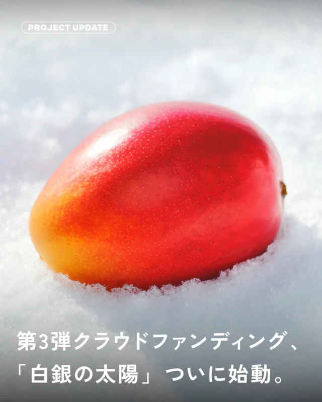 ＼ NWF 第3弾クラファン公開！／

NIPPON WONDER FACTORYでは、
「地域の物語を未来へつなぐ」クラウドファンディング
第3弾がスタートしました！

今回伴走するのは、
北海道十勝で、冬に実る国産マンゴー「白銀の太陽」を育てる
ノラワークスジャパンの中川裕之さん。

十勝に湧く温泉熱、雪の冷たさ、そして太陽の光。
この土地にある自然エネルギーを組み合わせ、
石油に頼らないマンゴーづくりに挑み続けてきました。

循環型農業で真冬の完熟を実現した、とろけるような口どけ。
湿度の低い北海道の環境で、果実にストレスをかけず育てることで生まれる、芳醇な香りと濃厚な甘み。

冬の季節に胸を張って届けられる国産マンゴーを目指し、
十数年にわたる挑戦を続けています。

その味わいは、2025年の野菜ソムリエサミットで金賞を受賞。
多くの料理人やパティシエにも選ばれてきました。

このプロジェクトが目指すのは、
マンゴーづくりそのものではありません。

冬にも働ける環境をつくり、
地域に根付く産業として未来へつないでいくこと。
そのために今、生産を安定させ、次の世代へ受け渡していくための生産基盤づくりに取り組んでいます。

冬に果実が実り、
地域に雇用が生まれ、
十勝の資源を活かした循環型農業が続いていくように🌱

「白銀の太陽」のこれからを、
ぜひ一緒に応援していただけたら嬉しいです🥭

クラウドファンディング開催期間🗓️
2026年2月12日（木）〜2026年3月23日（月）

👉 詳しくはプロフィール欄のNWFホームページリンク
第3弾クラファン 北海道十勝「白銀の太陽」から
https://kibidango.com/projects/2899

#NIPPONWONDERFACTORY
#白銀の太陽
#北海道十勝
#地域創生
#クラウドファンディング