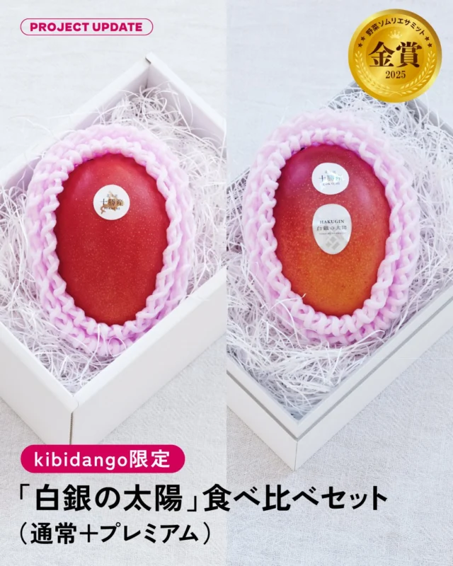 ＼ネクストゴールに向け挑戦中！／

北海道の冬に実るマンゴー、「白銀の太陽」。
現在目標を達成し、ネクストゴール【200万円】に向けて挑戦しています。
たくさんのご支援をいただき、本当にありがとうございます。

この取り組みをさらに広げていくために、
今回はおすすめのリターンをご紹介します！

📸1枚目
【kibidango限定】食べ比べセット ¥15,000
「白銀の太陽」と「白銀の太陽プレミアム」を一度に味わえる特別なセットです。
同じ品種でも、糖度の違いで変わる香りと甘み。その違いをぜひ体験してください。

📸2枚目
【kibidango限定】苗木オーナー ¥30,000
植えるところから実りまで。
3年後・4年後にその苗木から収穫したマンゴーを各年1玉ずつお届けします。
ネームタグ設置や成長レポートもあり、時間ごと価値になるリターンです。

📸3枚目
【11月限定】ハウス視察＆バナナ喰い体験 ¥50,000
自然エネルギーを活用したマンゴーハウスを実際に見学いただき、
そして完熟マンゴーを豪快に「バナナ喰い」できるリターンです。
この挑戦の背景を、現地で体感できる特別な機会です。

さらに、ネクストゴール挑戦を記念して、
特別な「苗木オーナープラン」を追加しました。

📸4枚目
【苗木20本｜限定1枠】550,000円
3年後・4年後に、その苗木から収穫したマンゴーを各年20玉ずつ、2年間で合計40玉お届けします。
名入れや公式サイトへの掲載も含まれており、
自然エネルギーを活用した持続可能な農業の取り組みにご賛同いただける方へ向けた特別なプランです。
企業様の場合は、この支援を自社のストーリーとして発信いただくことも可能です。

その他、【苗木10本｜限定2枠】300,000円のプランもございます。
3年後・4年後に各年10玉ずつ（合計20玉）お届け。
名入れのし付きで、ご自身はもちろん、贈答やお歳暮にもご活用いただけます。

※いずれも数量限定のため、なくなり次第終了となります。

あなたの応援が「白銀の太陽」の未来をつくります。
プロフィールのリンクより、ぜひ詳細をご覧ください🥭

#白銀の太陽
#北海道マンゴー
#クラウドファンディング挑戦中
#ネクストゴール挑戦
#持続可能な農業