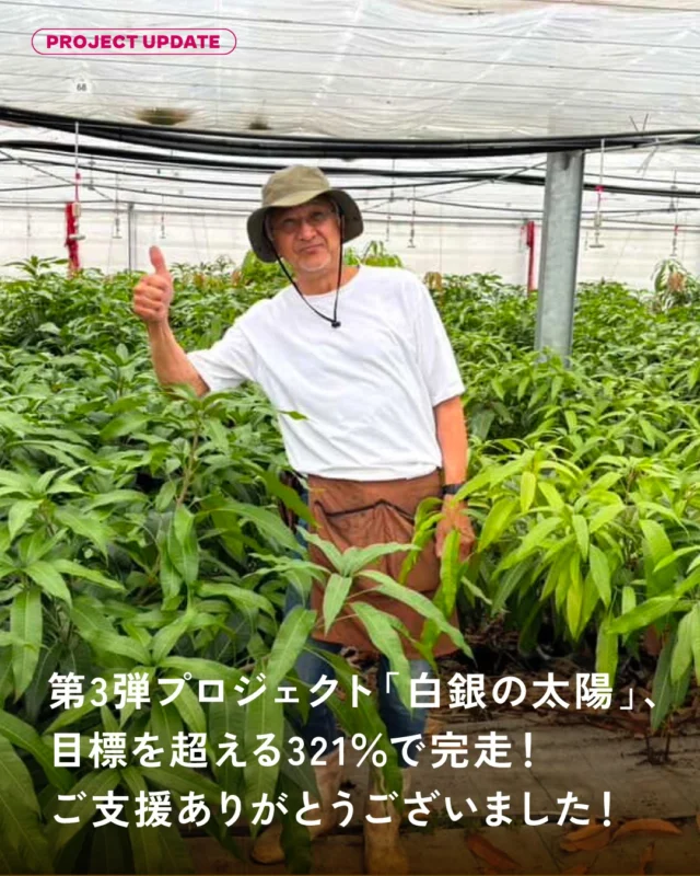 ＼白銀の太陽、達成率321％で終了！／

冬に実る北海道産マンゴー「白銀の太陽」のクラウドファンディングが、53名の支援者さまとともに、無事に幕を閉じました。

● 支援者数：53名
● 集まった金額：1,608,000円
● 達成率：321％

野菜ソムリエサミットで金賞を受賞したマンゴーが、十勝の冬の新しい産業として根づいていく。
その第一歩に、これほど多くの方が共感してくださったこと、NWFチーム一同、心から嬉しく思っています。

👉2枚目では、ノラワークスジャパンの中川さんから皆さまへ、感謝のメッセージをお届けしています。

ご支援くださったすべての方へ、ありがとうございました🥭
「白銀の太陽」の到着を、ぜひ楽しみにお待ちください。

これからも、地域に根ざした挑戦やプロジェクト支援を通じて、日本各地の魅力を発信していきます。

#白銀の太陽
#北海道マンゴー
#NipponWonderFactory
#クラウドファンディング
#地方創生